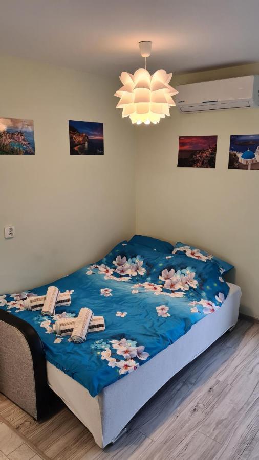 Comfy Apartment